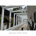 Cypress Pine Post 4