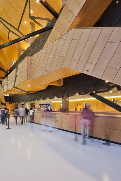Austral AB22 Hoop Pine Plywood