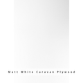 Matt White Caravan Ply