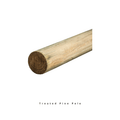 Treated Pine Pole