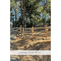 Treated Pine Post 4