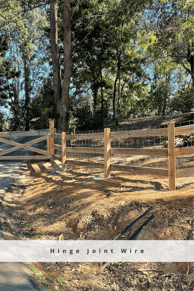 Treated Pine Post 4