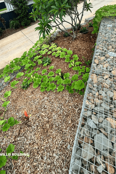 Welded Wire Mesh Panels Gabion Wall Todd Willis Building