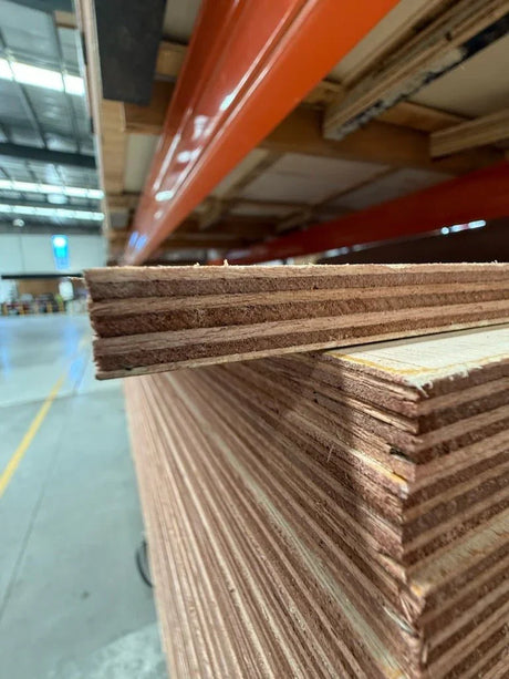 Extra Large Plywood Sheet