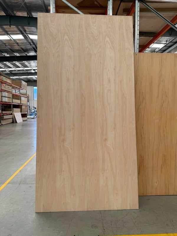 Extra Large Plywood Sheet