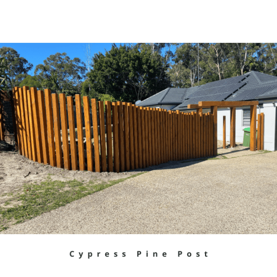 Cypress Pine Post 6