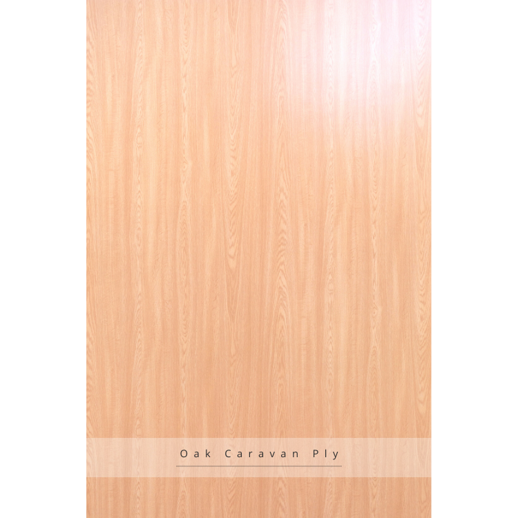 Oak Caravan Ply