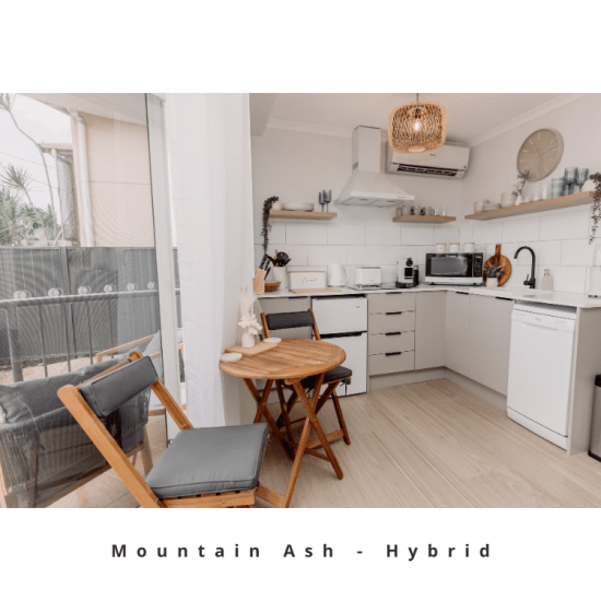 Mountain Ash Hybrid