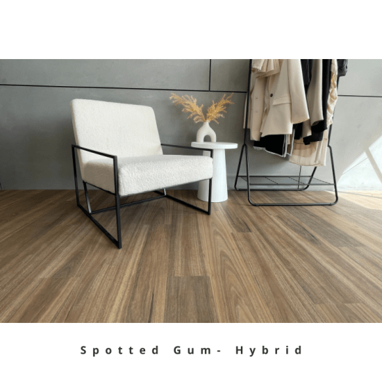 Spotted Gum Hybrid