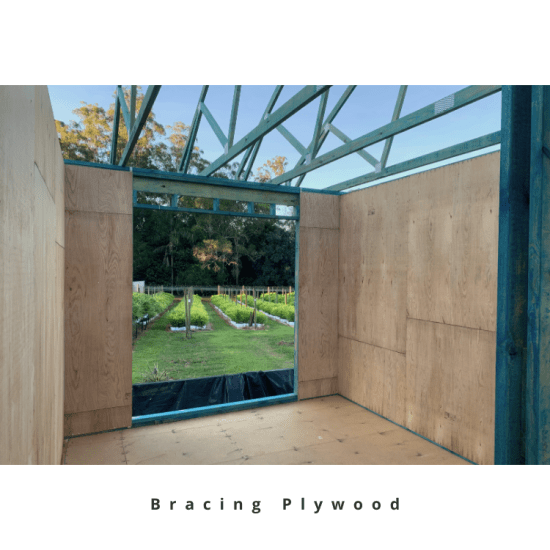 Bracing Plywood