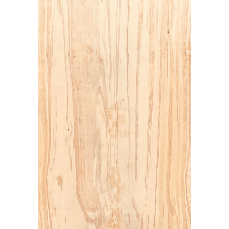 CD Hoop Pine Ply